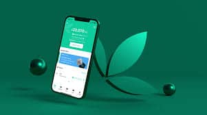 Bamboo